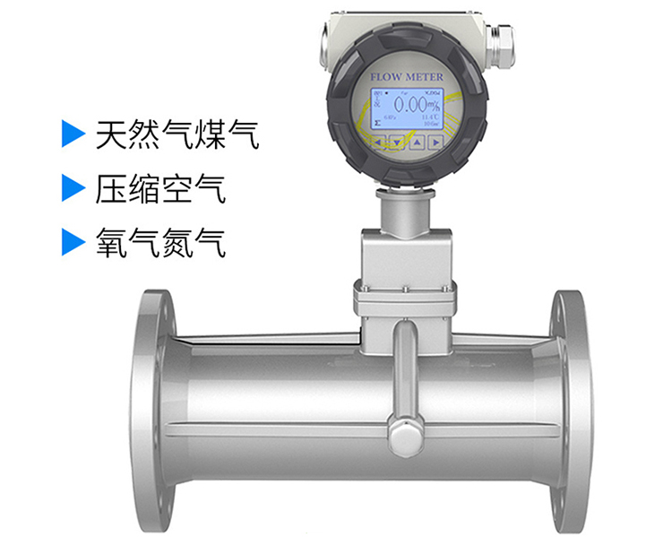 氫氣旋進旋渦流量計